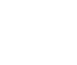 dream-fly-logo