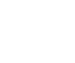 dream-fly-logo